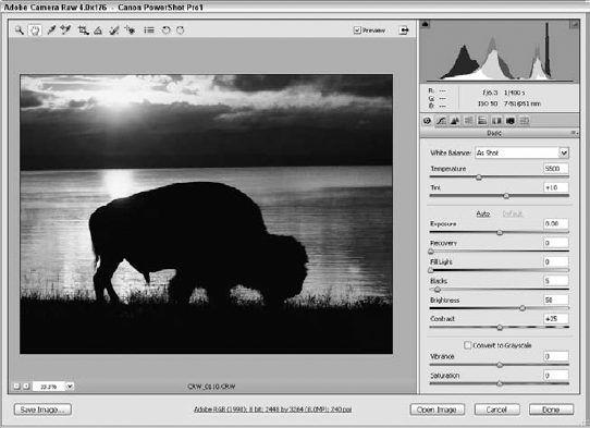 Think of the Camera Raw dialog box as your first stop along the road to correcting raw images with Photoshop. Here an image captured with Canon Powershot Pro1 digital camera is adjusted.