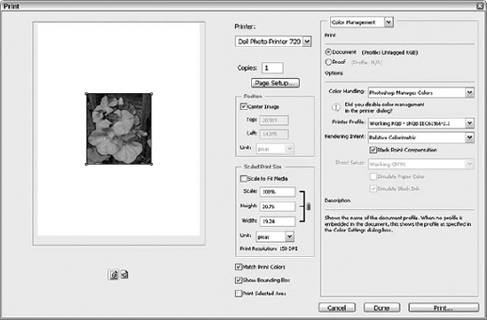 The Print with Preview dialog box enables you to precisely position and scale the image, and to handle almost all other print setup chores. Here you see the Color Management version of the lower half of the dialog box, plus the Output version too.