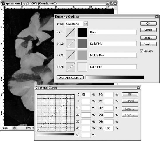 The Duotone Options dialog box enables you to apply multiple inks to a grayscale image. If you click the Ink 1, Ink 2, Ink 3, or Ink 4 curve, the Duotone Curve dialog box opens (bottom image).