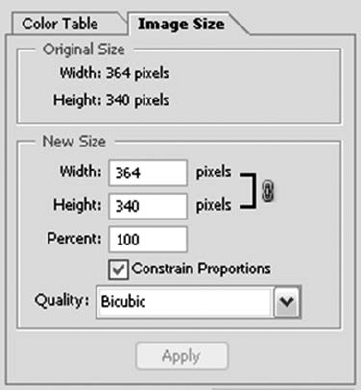 The Image Size area resembles the Pixel Dimensions area of the Image Size dialog box.