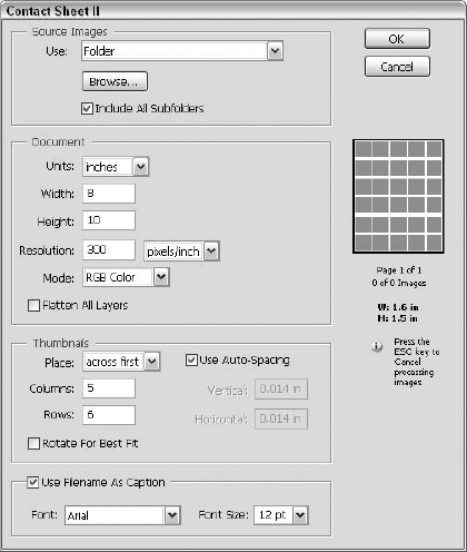 The Contact Sheet II dialog box lets you label thumbnails with their corresponding file names.