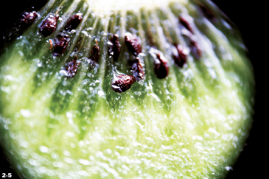 ABOUT THIS PHOTO Photo of a kiwi fruit taken with a reversed lens. Note the vignetting. Taken with a compact camera with a reversed 55mm prime lens held in front. 1/125 sec., f/5.6 at ISO 400. Photo by Hillary Quinn.
