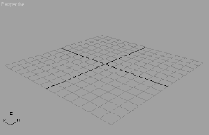 The Home Grid in a Perspective viewport