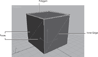 Polygon faces on this box have three edges or sides, making them triangular. A polygon on this box has four edges, or sides, making it a square.