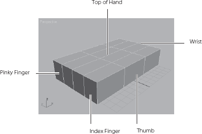 The box will be the palm of the hand, and the fingers will be extruded from the polygons facing you.