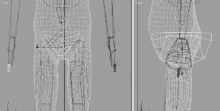 Scale the pelvis to fit.