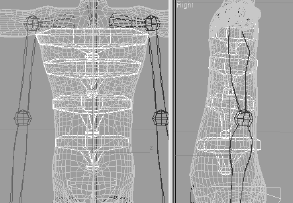 Match the biped's clavicles to the model