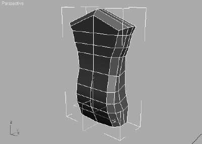 The internal polygons created with the Extrude tool