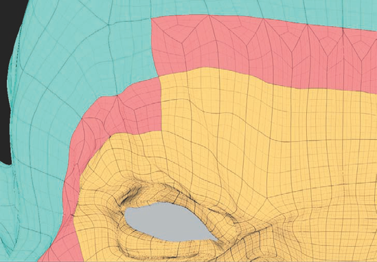 ZBrush will automatically retain a quad layout when locally subdividing. The connecting area in red represents the transition between areas of higher density and areas of lower density.