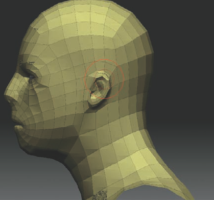 When using the Move brush on an unmasked ear, the ear as well as the faces of the head are changed.