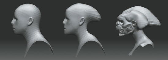 Use the Move brush to pull new shapes from the generic head mesh.