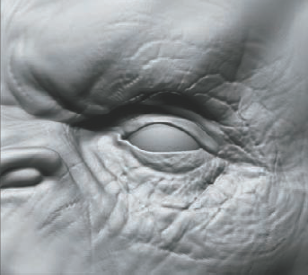 The eye wrinkles sculpted in