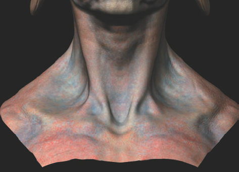 Cool hues in the recesses of the neck, eye sockets, and ears comp