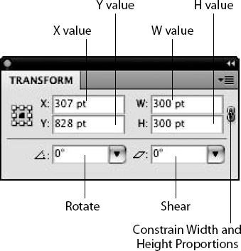 Use the Transform panel to set objects to specific sizes.