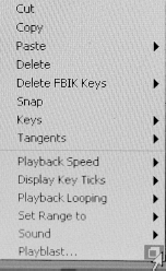 Select the Option box for Playblast.