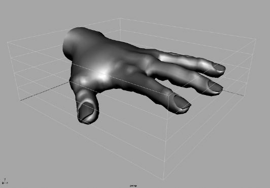 A lattice is applied to the polygonal hand model.