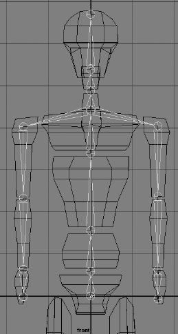 Place joints for the torso.