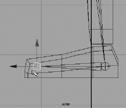 In the Side view panel, create a joint at the tip of the foot.