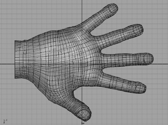 The hand mesh