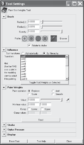 The option box for the Paint Skin Weights tool