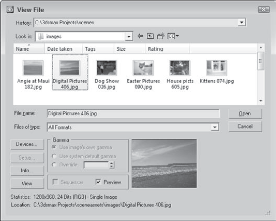 The View File dialog box can open an assortment of image and animation formats.