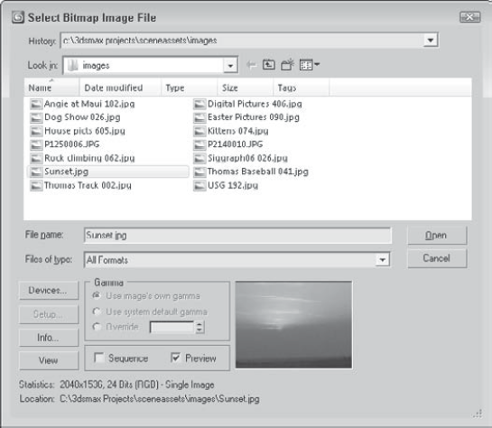 The Select Bitmap Image File dialog box lets you preview images before opening them.