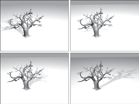 Several frames of an animation showing a tree scene from sunrise to sunset