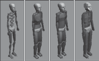 The four available body types include Skeleton, Female, Male, and Classic.