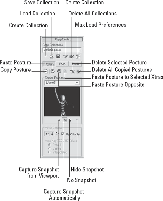 A Preview window in the Copy/Paste rollout lets you select the exact pose you want to use.