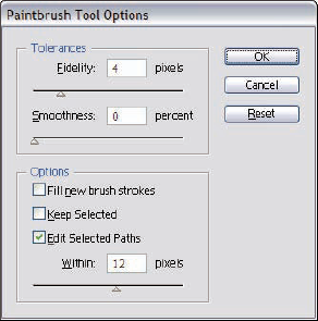 The Paintbrush Tool Preferences dialog box.