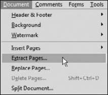 If the Extract pages command in the Document menu is accessible, you can convert a Designer-created XML form to a form that can be edited in Acrobat.