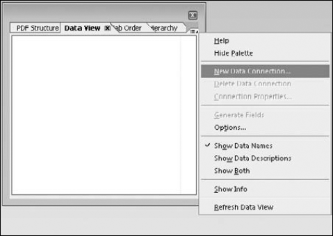 The New Data Connection option in the Data View palette menu