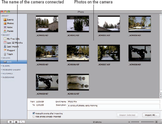 iPhoto with a camera connected.