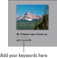 Photo showing where to add keywords.