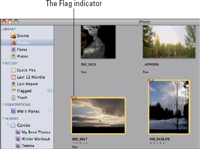 Flag indicator on a thumbnail.