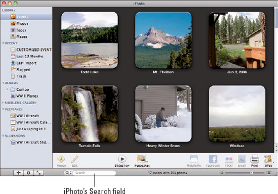 The iPhoto Search field.