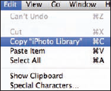 Copying the Library from the Edit menu.