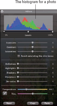 The histogram on the Adjust tool.