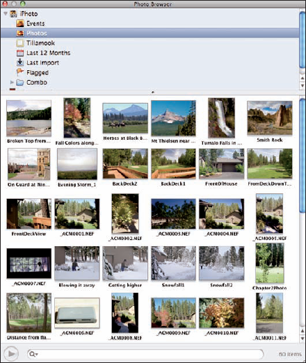 The Photo Browser window.