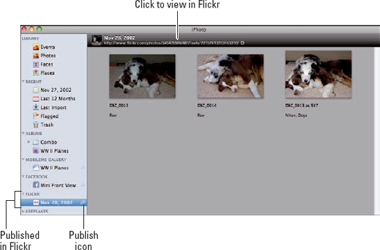 A Flickr Album in the iPhoto Source list.