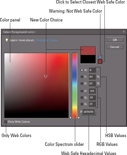 The Photoshop Elements' Color Picker.