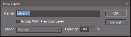 The New Layer dialog box.