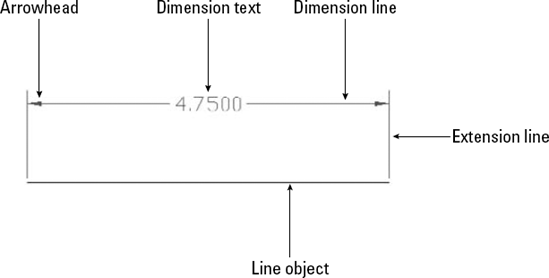 The parts of a dimension.