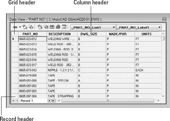 The Data View window displays your data.