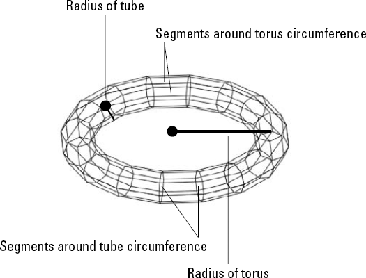 A torus.