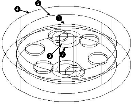 These solids are the basis for the model.