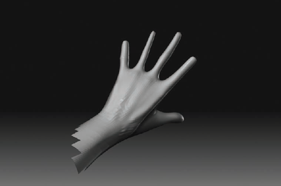Using the Standard brush, sketch in the bones of the back of the hand.