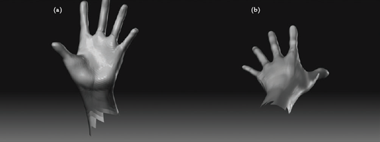 Creating the masses of the hand: (a) using the Inflate brush to indicate masses of the palm, (b) rotating around the hand to check it from multiple angles