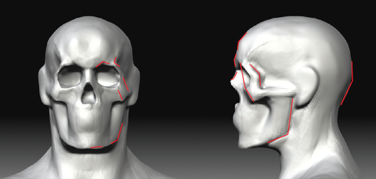 These front and side views of the head show the angles you are trying to maintain.