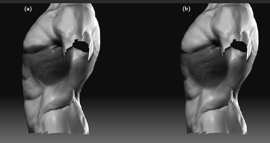 Sculpting the abdominal region: (a) the profile of the abdominals in side view, (b) shifting the abdominals back (notice the plane break at the navel)